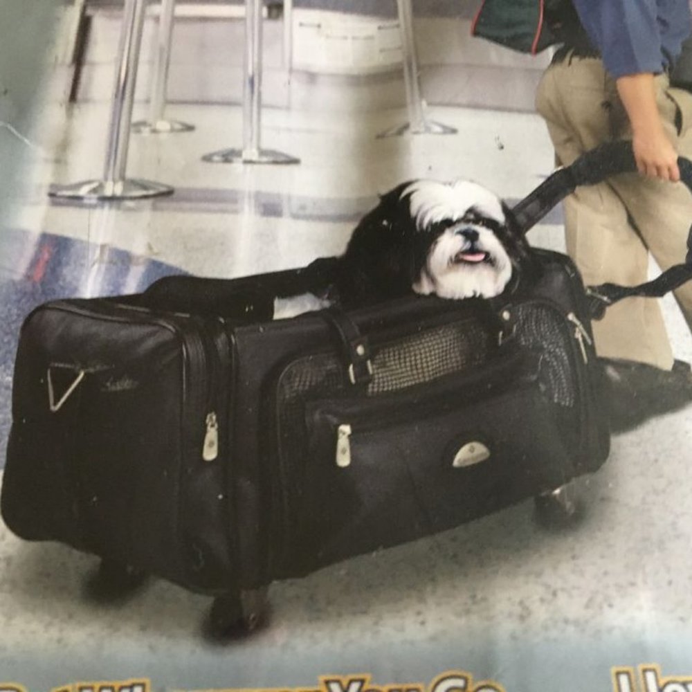 samsonite luxury pet stroller